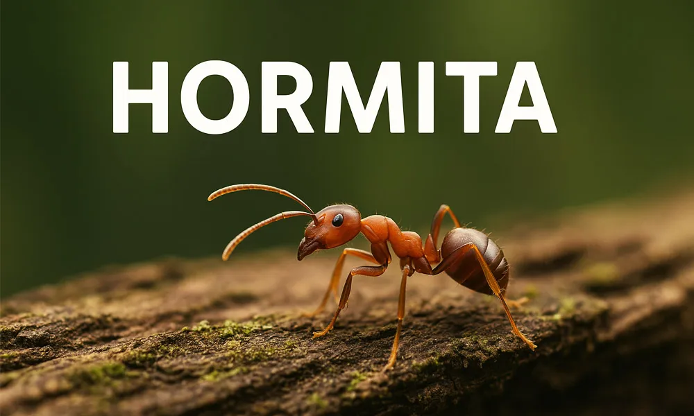 Hormita: The Science of Growth Through Challenge